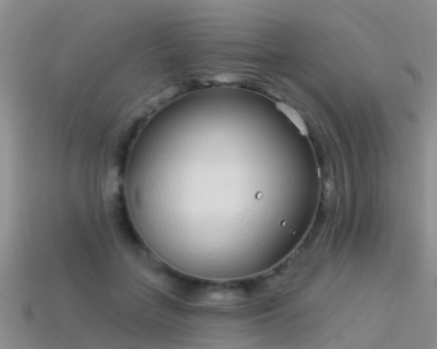 X0000114160555200910151609