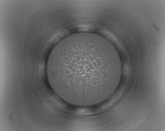 X0000114160557200910151609