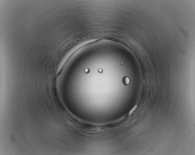 X0000114160558200910151609