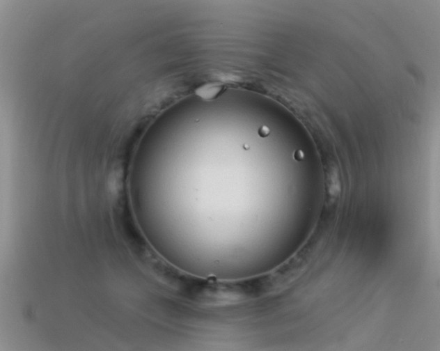 X0000114160559200910151609