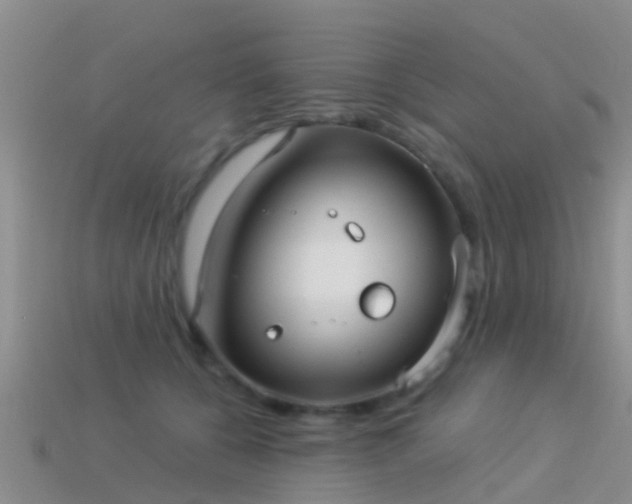 X0000114160560200910151609