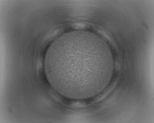 X0000114160561200910151609