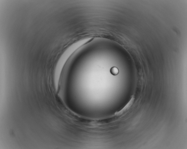 X0000114160562200910151609