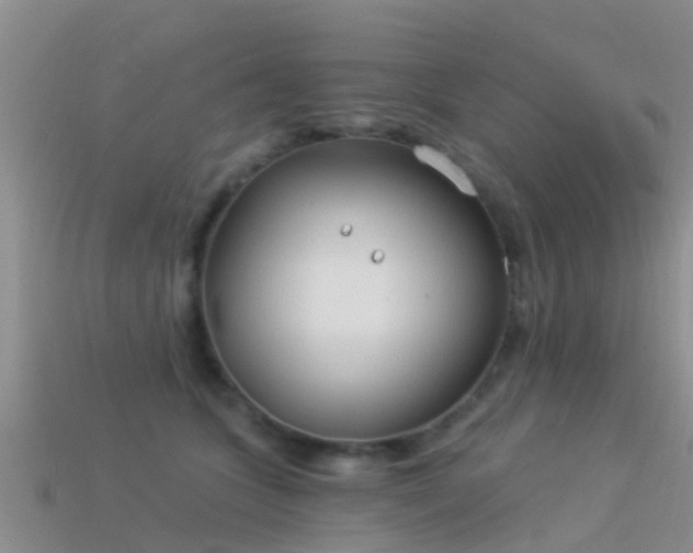 X0000114160563200910151609