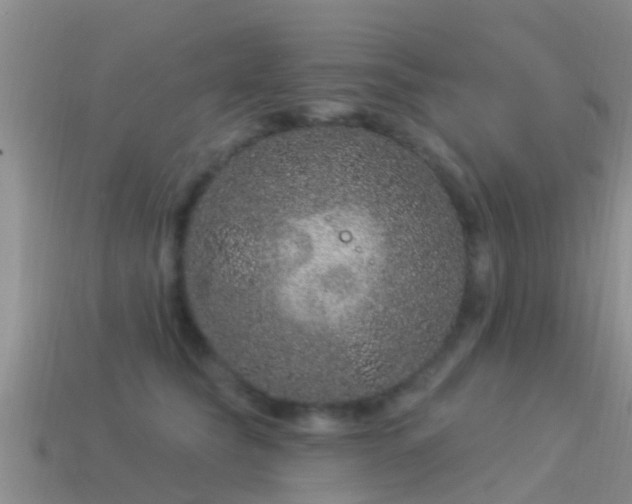 X0000114160565200910151609