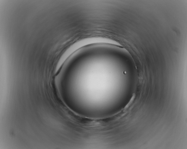 X0000114160566200910151609