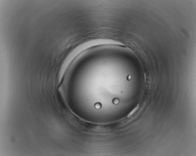 X0000114160568200910151609