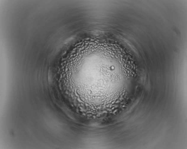 X0000114160569200910151609