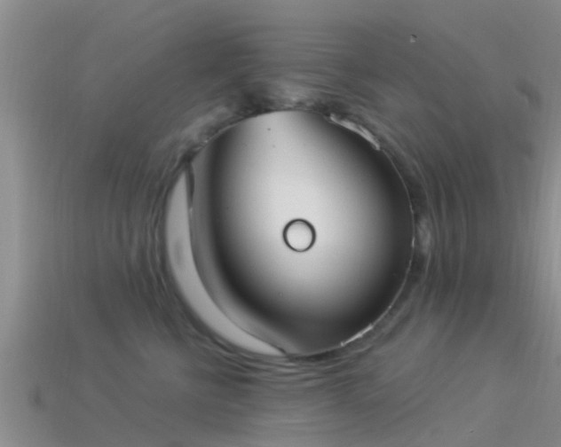 X0000114160570200910151609