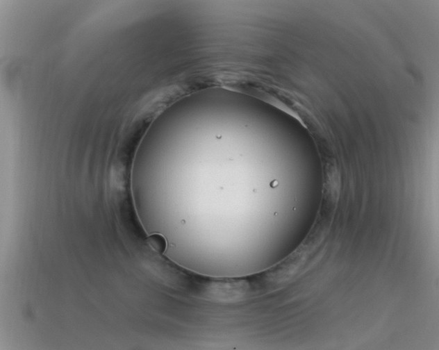 X0000114160571200910151609