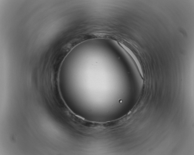 X0000114160572200910151609