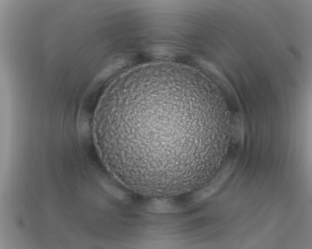 X0000114160573200910151609