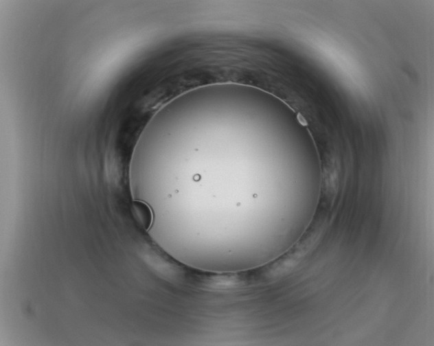 X0000114160574200910151609