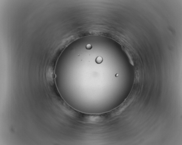 X0000114160575200910151609