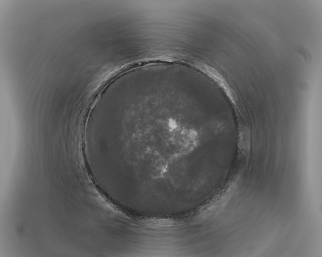 X0000114160577200910151608