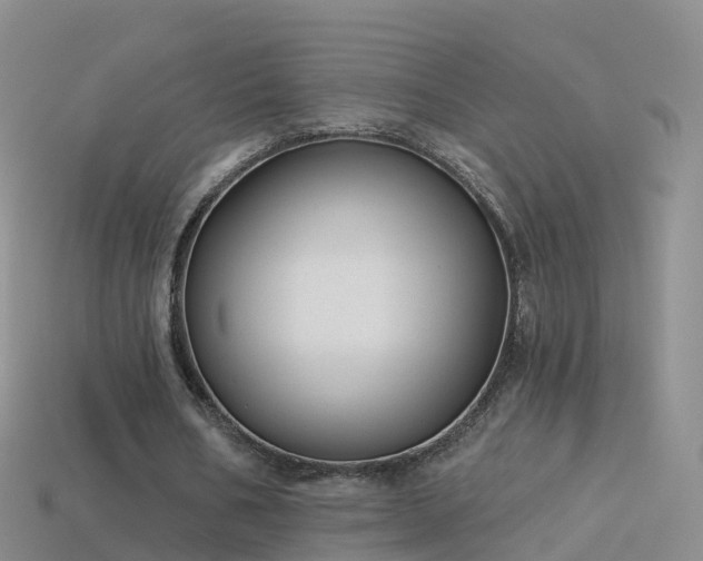 X0000114160578200910151608