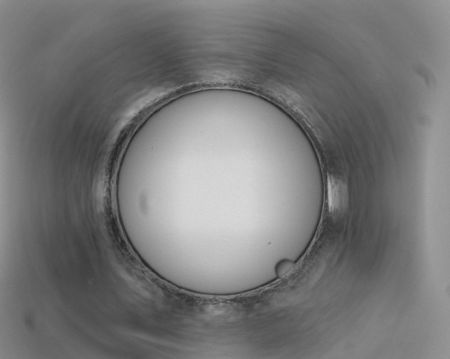 X0000114160579200910151608