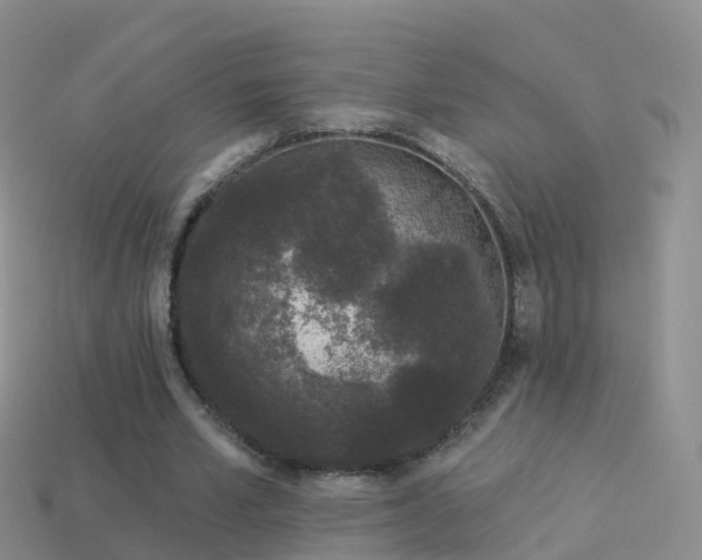 X0000114160581200910151608