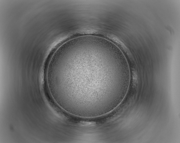 X0000114160582200910151608