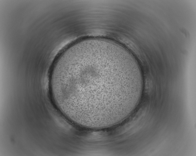 X0000114160584200910151608