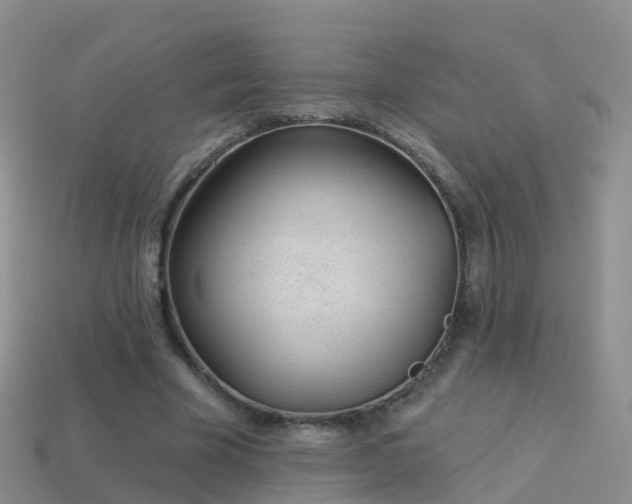 X0000114160585200910151608