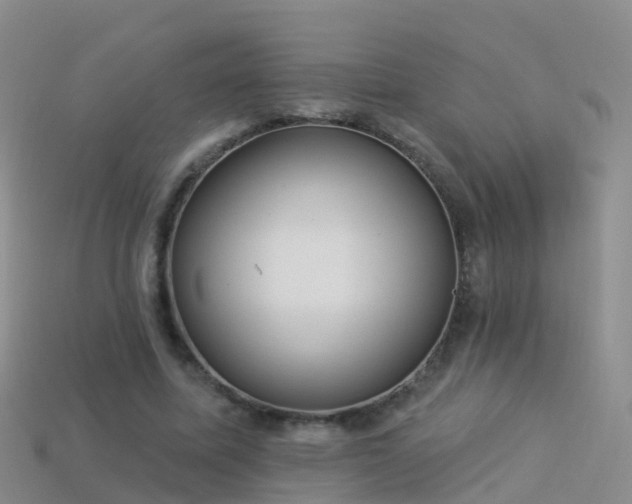 X0000114160587200910151608