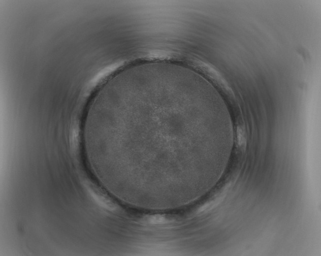 X0000114160588200910151608