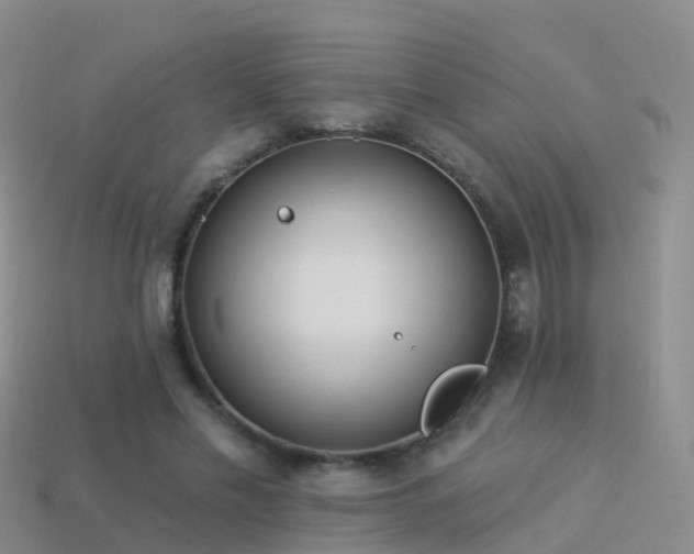 X0000114160589200910151608