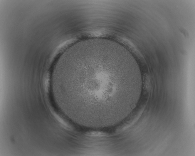 X0000114160590200910151608