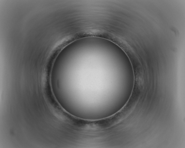 X0000114160591200910151608