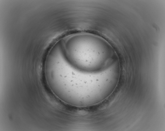 X0000114160592200910151608