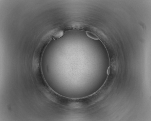 X0000114160593200910151608