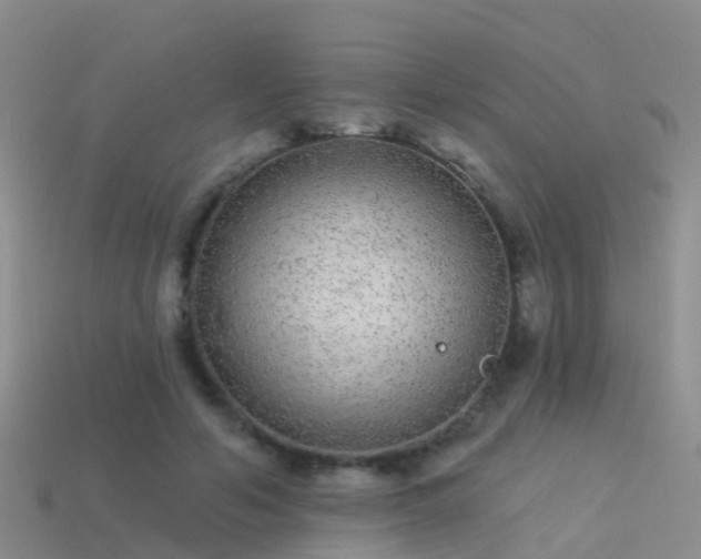 X0000114160594200910151608