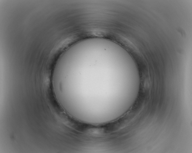 X0000114160595200910151608