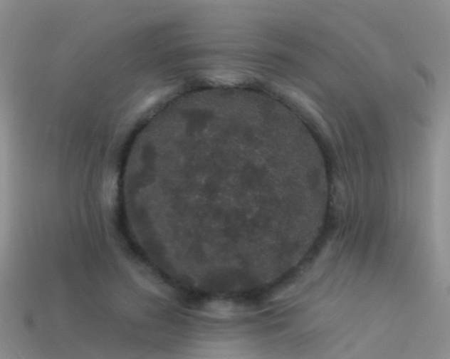 X0000114160596200910151608