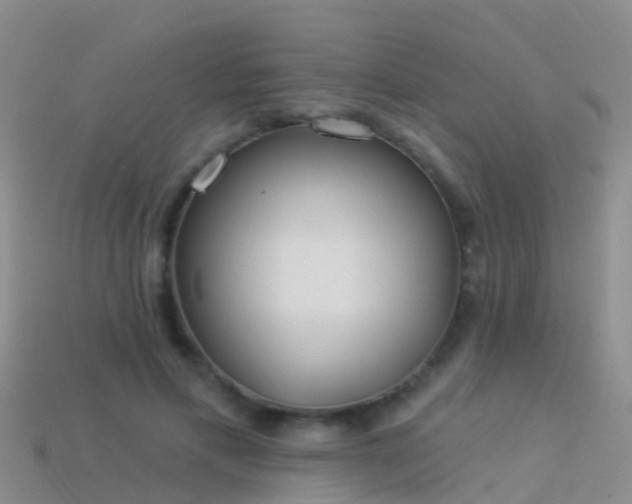 X0000114160597200910151608