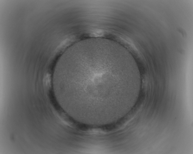 X0000114160598200910151608