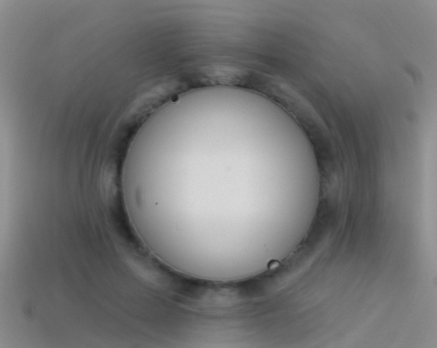 X0000114160599200910151608