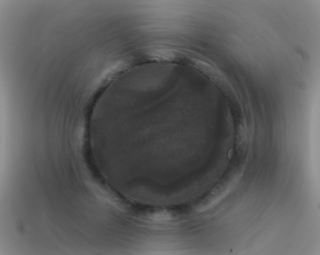 X0000114160600200910151608