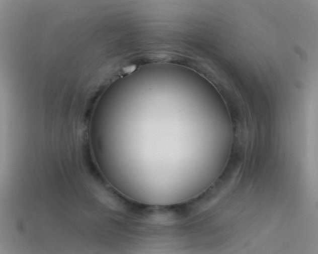 X0000114160601200910151608