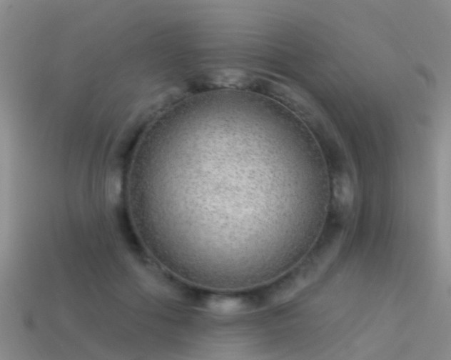 X0000114160602200910151608