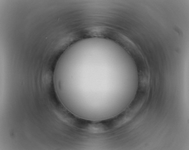 X0000114160603200910151608