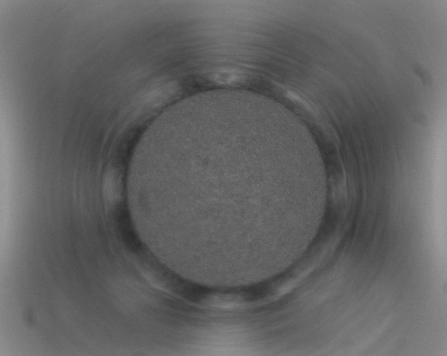 X0000114160606200910151608