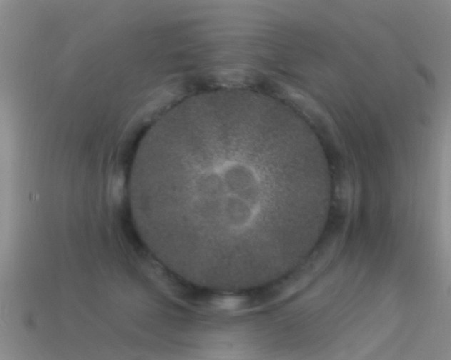 X0000114160610200910151608