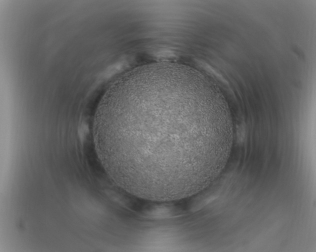 X0000114160618200910151607