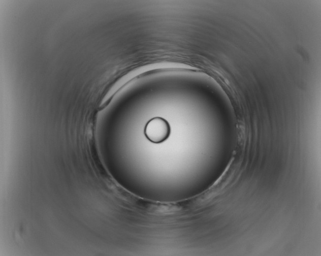 X0000114160621200910151607