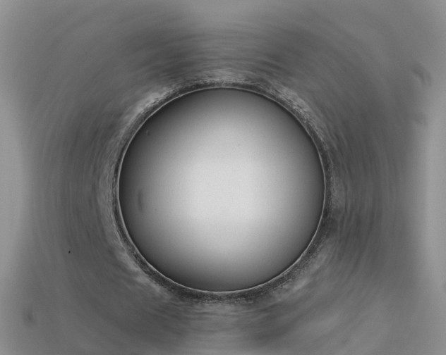 X0000114160625200910151607