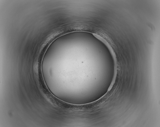 X0000114160626200910151607