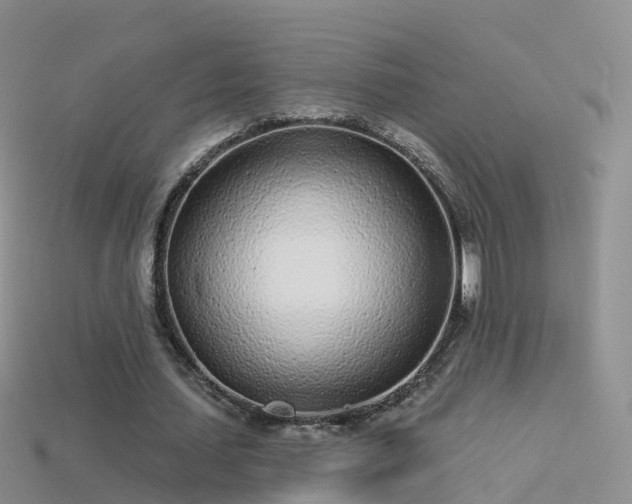 X0000114160627200910151607