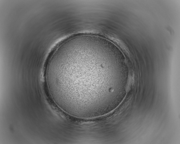 X0000114160628200910151607